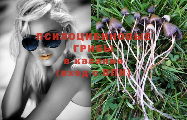 соль ск Верхний Тагил